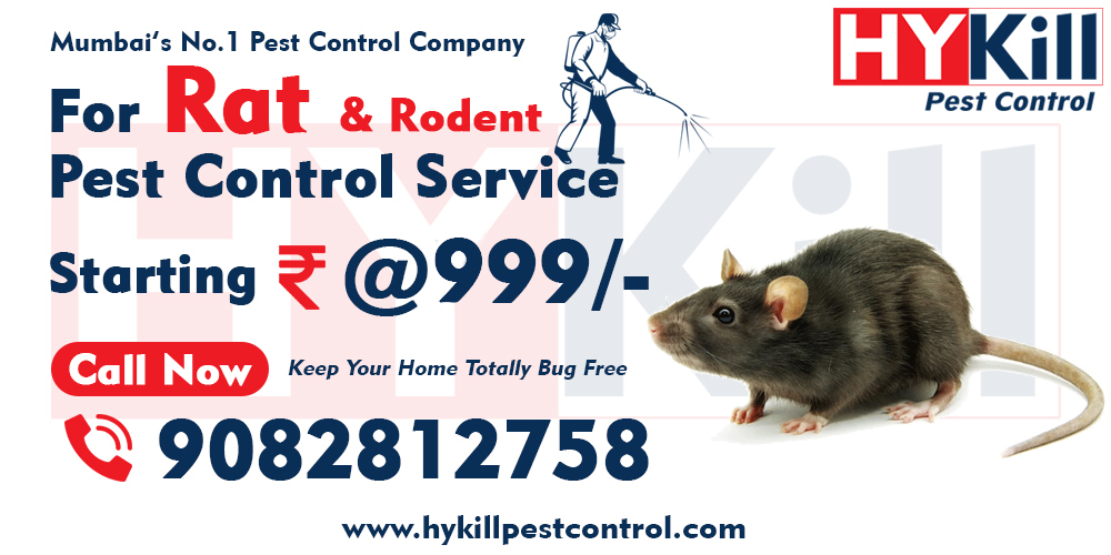 Rat Pest Control